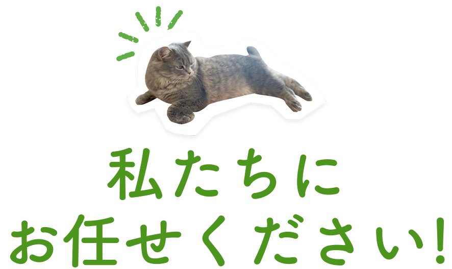 私たちにお任せください